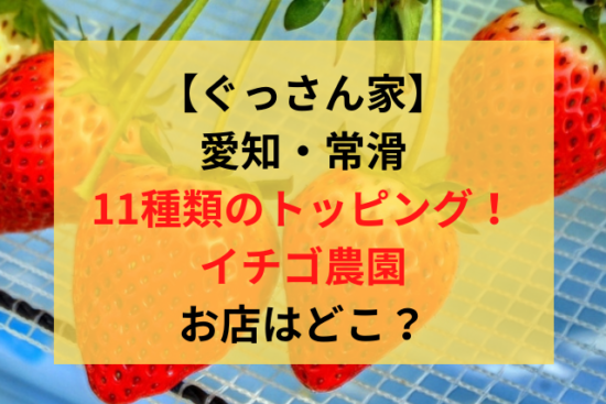 ぐっさん家 愛知常滑イチゴ狩りトッピングが話題の農園はどこ アクセス 料金 時期は Bqさんぽ